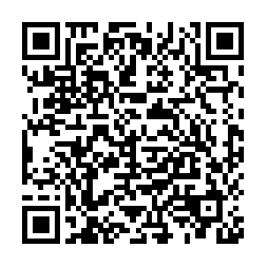 那不是今天在玄宇城骨器大赛生活用具赛场上演示了那透视仪的无角人二维码生成