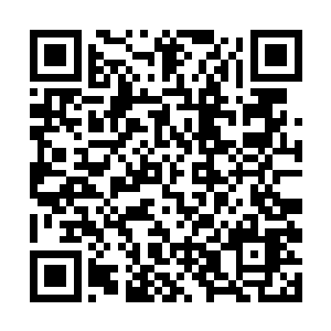 那不知道是什么玩意的公户晓三天前跟君子离碰上了二维码生成