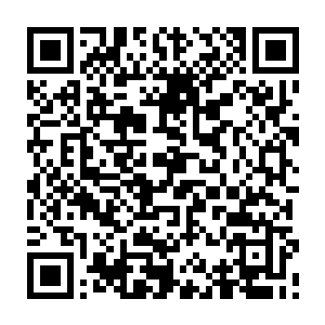 那两个九级武霸现在根本就没有时间去考虑为什么会出现眼前这样的情况二维码生成