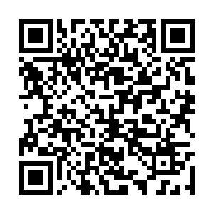 那两个单人才能进行的模式是无法选择的灰色图标二维码生成