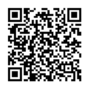 那两个四鼎五阶的高手身体直接定格在半空之中二维码生成