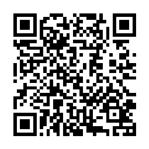 那两个超级家族的洪出尘和龚明此时就坐在这层楼上二维码生成