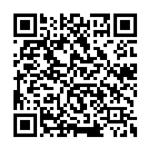 那两位控尸族的年轻男子看到这六位老者的出现二维码生成