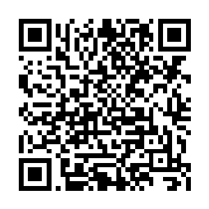 那两位被张均斩了大罗分身投影的高手立即质问二维码生成