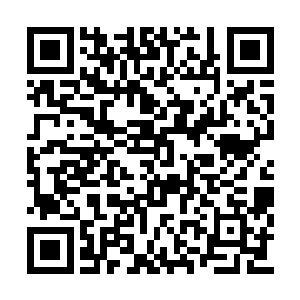 那两名二级杀手的脸与地面做了一个深深的接触二维码生成