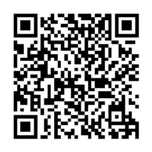 那两株却是当真具有偷天换日起死回生玄能的逸品神植二维码生成