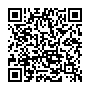 那个……你能告诉我距离这儿最近的军队防线吗二维码生成