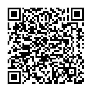 那个一直凑在一群老爷子中间的那个中年儒雅男子突然惊叫了一声二维码生成