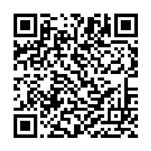 那个九头蛇根本就不会让自己从容地将阵柱布设下去二维码生成