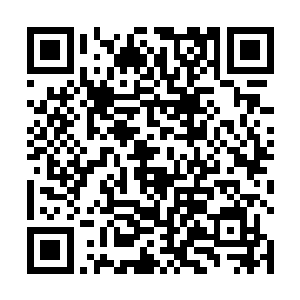 那个人手中的战刀直接砍在了那个鬼宗之人的手臂之上二维码生成