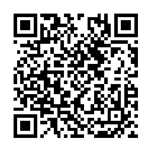 那个人直接将所有人的信息全都给夏天刻录了一遍二维码生成