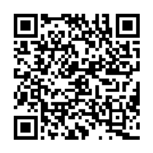 那个人肯定在派出雪狼之前就对我们两个人有一点点了解二维码生成