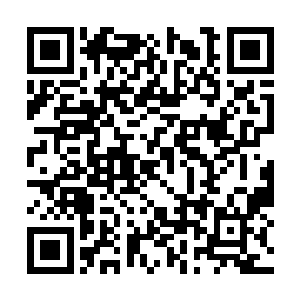 那个他们看上去出现几率最小的数字居然真的出现二维码生成