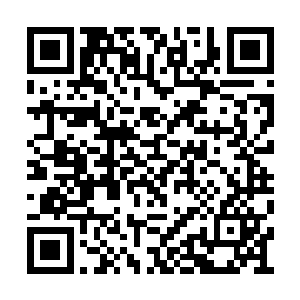 那个仙帝后期修士原本就被撒鼎一巴掌揍得不轻二维码生成