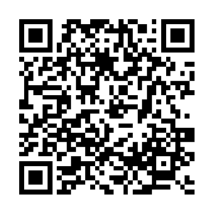 那个全身笼罩在黑色法师袍当中的法师目光闪烁了下二维码生成