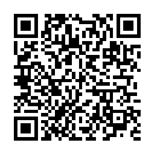 那个准影级的高手没想到夏天的速度居然可以这么快二维码生成