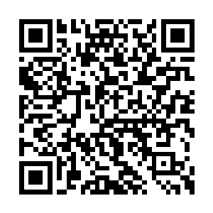那个刀疤大汉是这座城市中的一个黑老大的心腹二维码生成