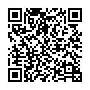 那个华东星将之前还说有了两颗提气丸自己就能星将最强了二维码生成