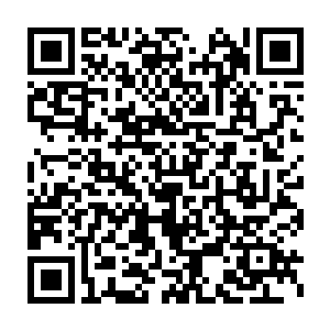 那个喂着金鱼的老人这个时候也抬着头看着出现在轩辕之丘上空的极光二维码生成