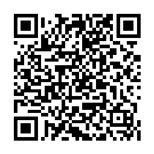 那个土屋里刚才出现了两个人加我族那只小雏鸟二维码生成