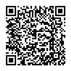 那个大魔鬼头颅就是马文祖父仿造魔鬼大君的把戏制造的炼金物品二维码生成