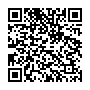 那个女人吹了口哨便是让外面的人把更多的黄羊兽给赶进来二维码生成