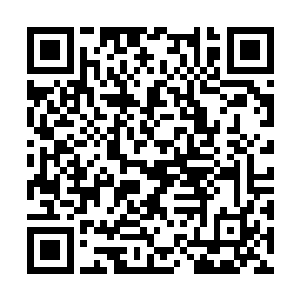 那个女生一下子就把推到自己面前的食物紧紧抓住二维码生成