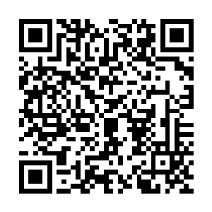 那个她刚上船时就看到的劣等歌姬头子正不停地打量着四周的人二维码生成
