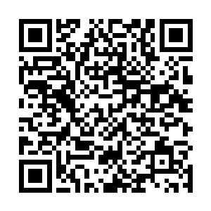 那个宝兽级别的猴子听到夏天的话就开始原地转圈滚了二维码生成