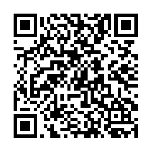 那个小姑娘就是我们这个市场里最厉害的挑石人之一二维码生成