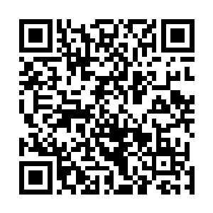 那个小子在真剑阁内肆无忌惮的斩断了我羊家护卫的手臂二维码生成