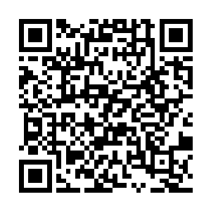 那个小拳头捏起来也是在丁羽的身上面胡乱的锤击着二维码生成