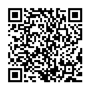 那个少年一身狼狈的躲过了华国公府的重重守卫来到她的房门前二维码生成