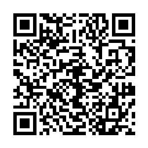 那个左边的修士应该正用生命之气净化这座被污染的七情塔二维码生成