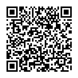那个巨大的光团随着许紫烟的手抓住那根羽毛就开始向着许紫烟的手汇聚二维码生成