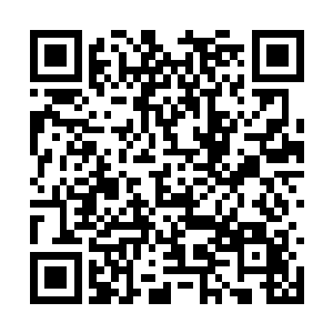 那个巨大的鱼缸和其中的几尾观赏鱼就是其中之一二维码生成