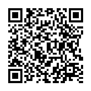 那个已经把那位驻颜有术的剑道前辈视为神仙人物的中原汉子二维码生成