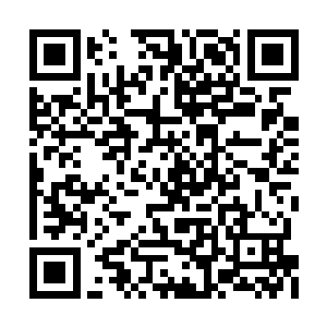 那个引诱他们夫妻入局的志愿者也是诈骗犯之一二维码生成