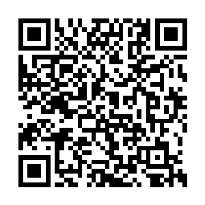 那个张小凡能在你们的眼皮底下反回凡悠会馆吗二维码生成