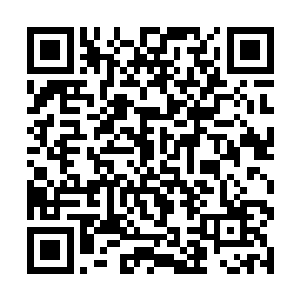 那个拳头大小的光球就向着百族天尊的方向激射而去二维码生成