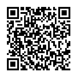 那个控制阵法开启的按钮就在她面前的控制台上二维码生成