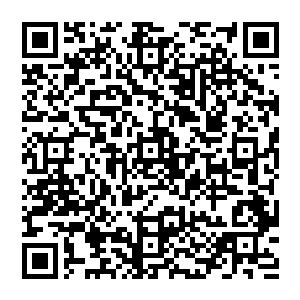 那个无头道士还有杨民杨的尸体好像就是被那支插在杨家后院面前伪装成普通香的引魂香给吸引来的二维码生成