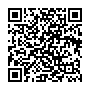 那个时代的修士是绝对不会把功法刻录入玉简或竹简中的二维码生成