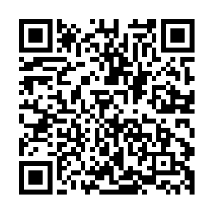 那个时候不过是一阶的一条蟒蛇就轻而易举地杀灭了张家五人二维码生成