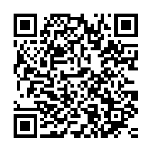 那个时候他唯一想的就是如何能用最少的投入得到最合适的傀儡二维码生成