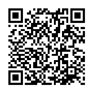 那个星域宗宗主原本见到许紫烟没有立刻来见他二维码生成