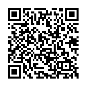 那个汪洋追求周若诗肯定已经不是一天两天的了二维码生成