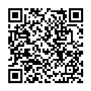 那个浮在水面上等着厉蛊喂食大虫子的嚣张八爪鱼二维码生成