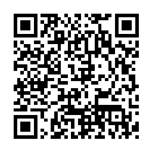 那个温柔朴素的背影……被林坤一并绑架的时候二维码生成