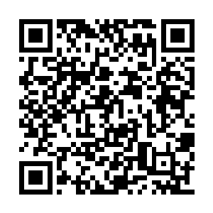 那个熟悉的身影立在离傅八岱他们有些远的地方二维码生成